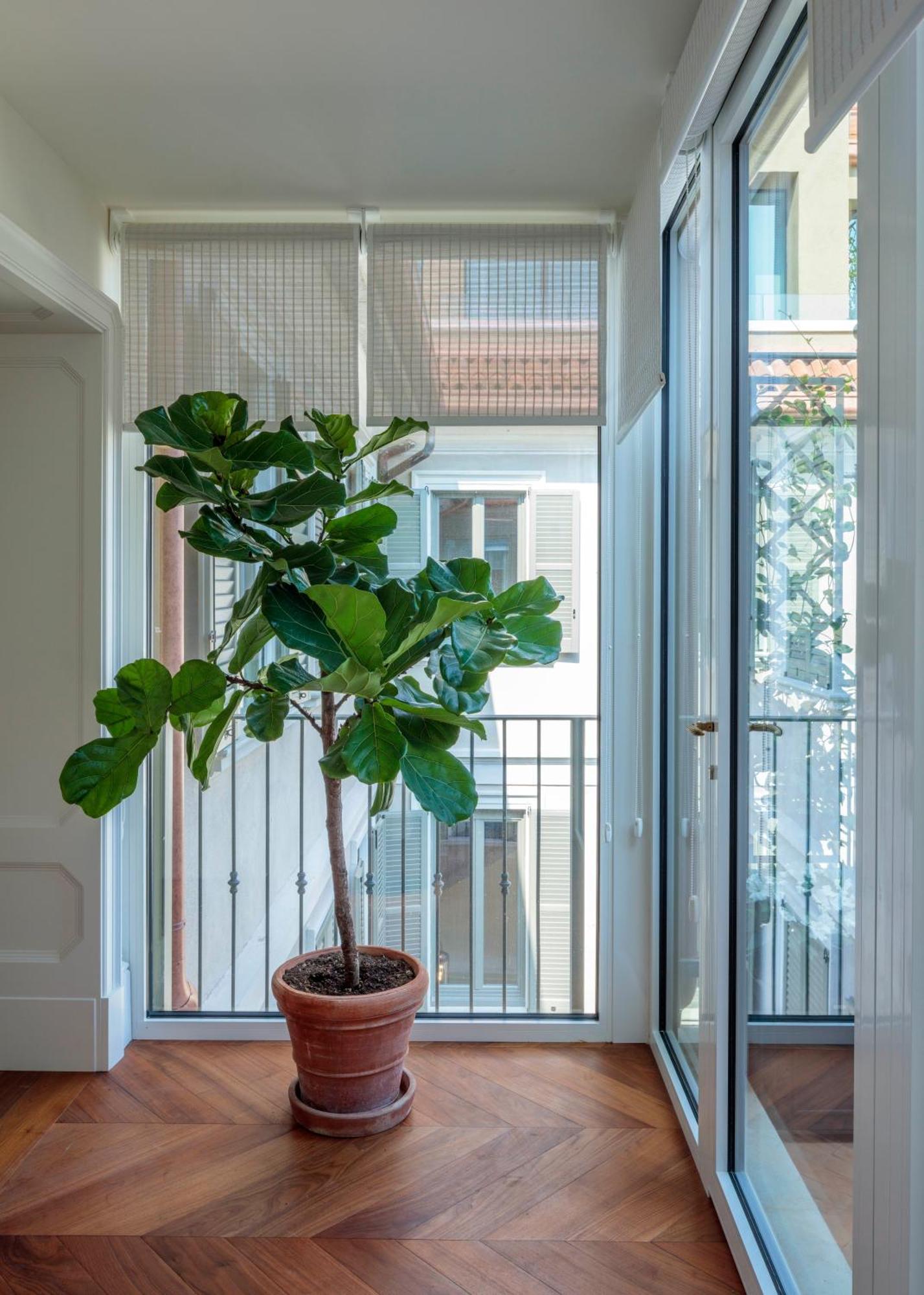Appartement Rocco House Via Manzoni Milan